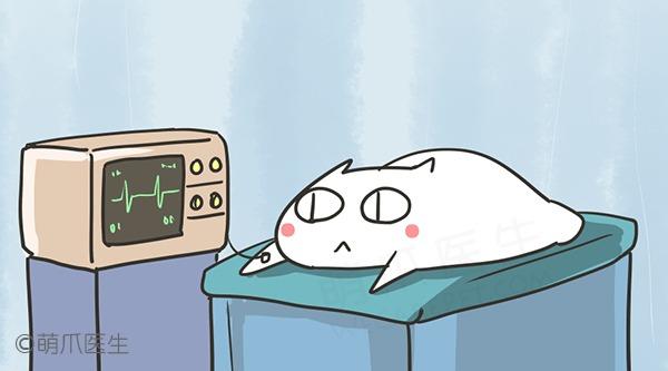 九游体育app-贵州六盘水消防开展“文明祭扫平安清明”宣传活动(图1) 九游体育