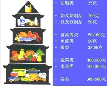 九游体育app